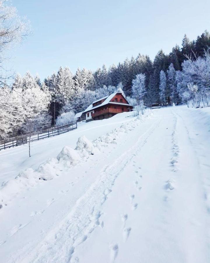 Biofarma Na Luce Vila Velké Karlovice Exterior foto